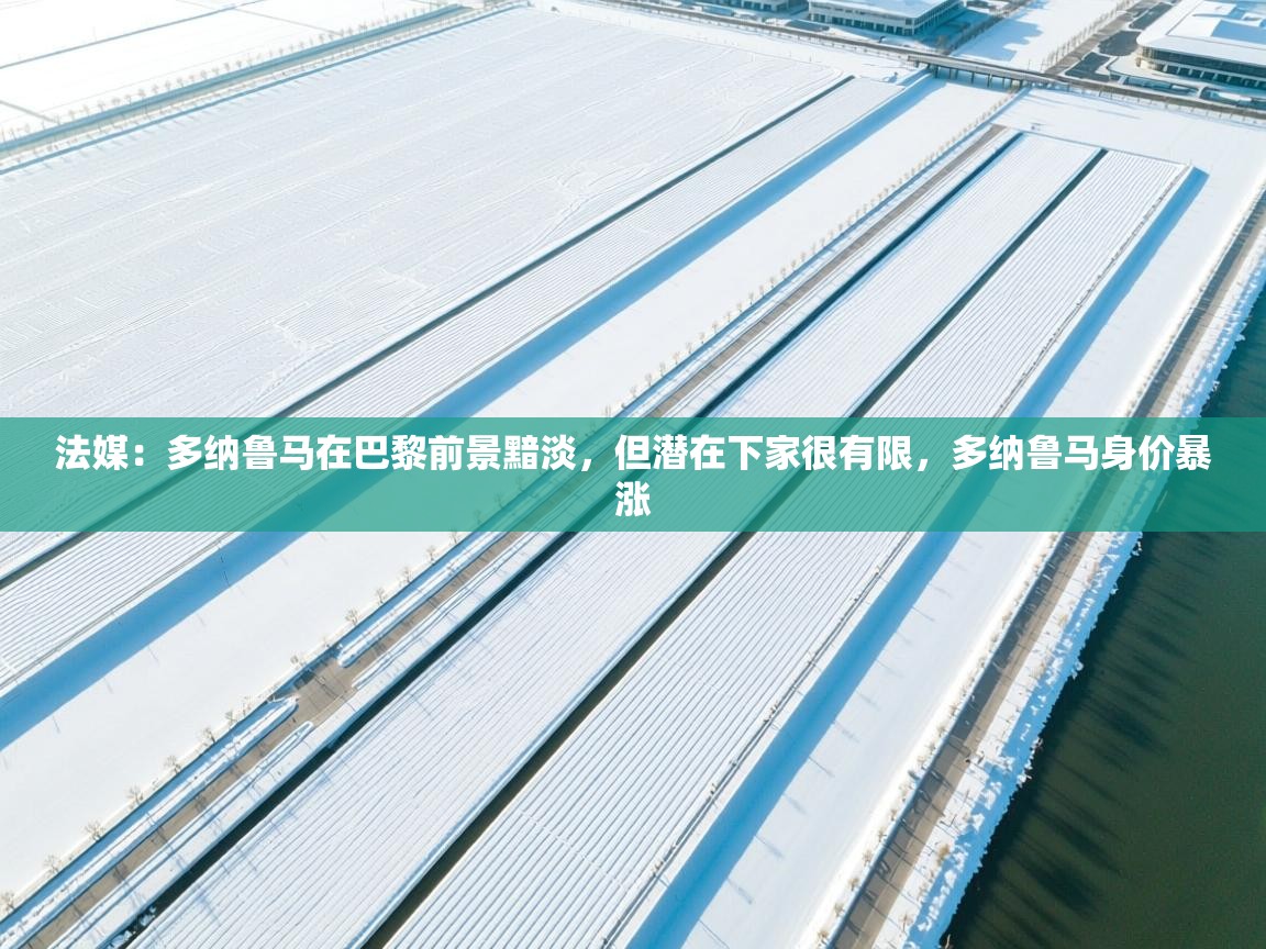 法媒:多纳鲁马在巴黎前景黯淡,但潜在下家很有限,多纳鲁马身价暴涨 第2张