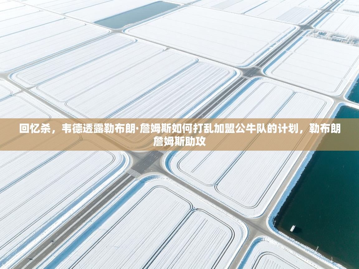 回忆杀，韦德透露勒布朗·詹姆斯如何打乱加盟公牛队的计划，勒布朗詹姆斯助攻