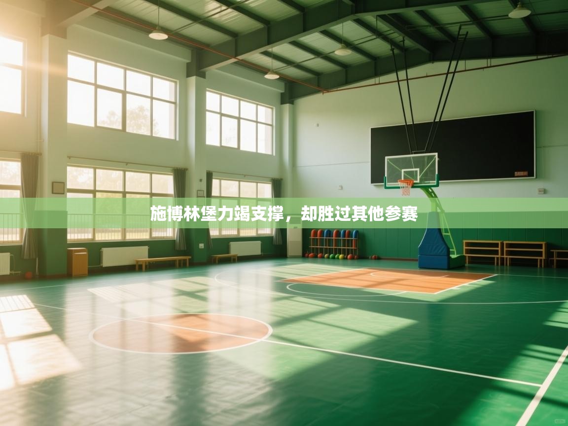 施博林堡力竭支撑,却胜过其他参赛 第2张