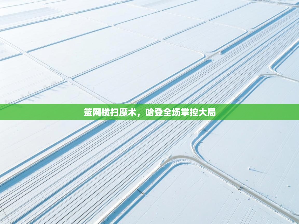 篮网横扫魔术，哈登全场掌控大局  第2张