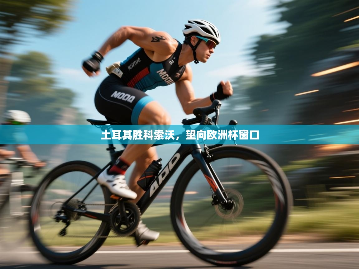 土耳其胜科索沃,望向欧洲杯窗口 第2张