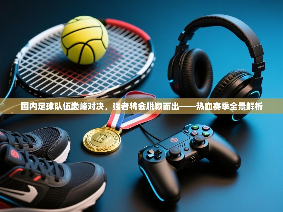 国内足球队伍巅峰对决,强者将会脱颖而出——热血赛季全景解析 第1张