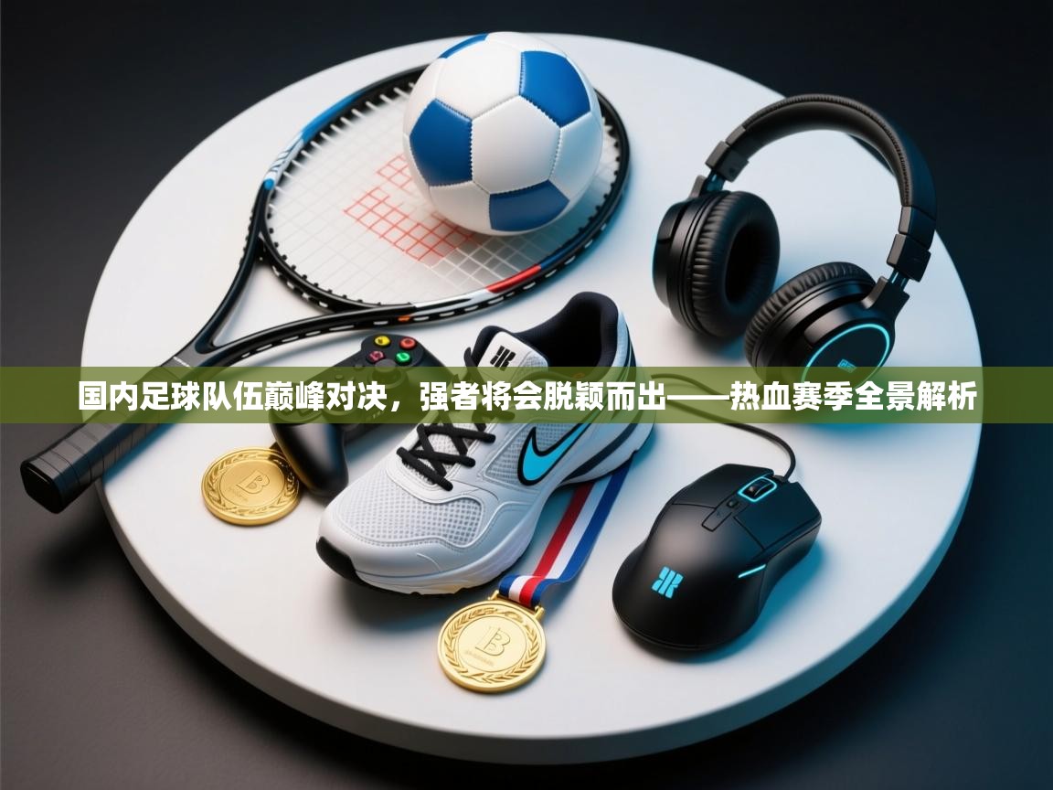 国内足球队伍巅峰对决,强者将会脱颖而出——热血赛季全景解析 第2张